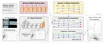 PnPNet: End-to-End Perception and Prediction with Tracking in the Loop